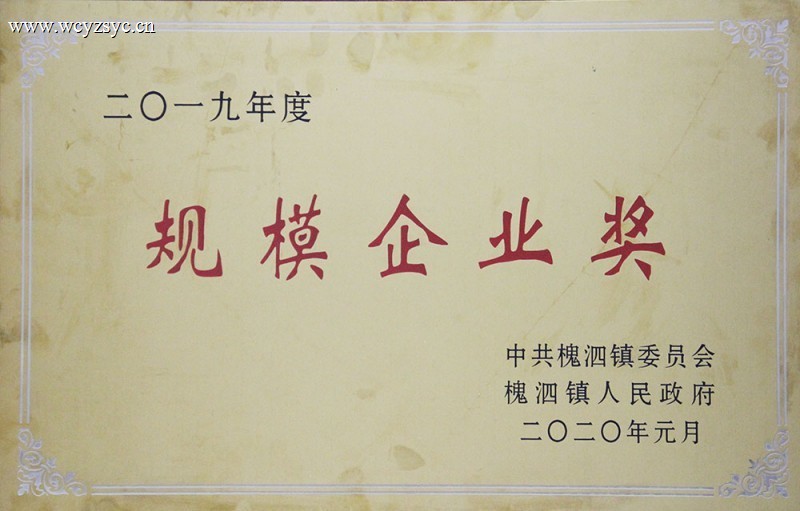 2019 Annual Large Enterprise Award