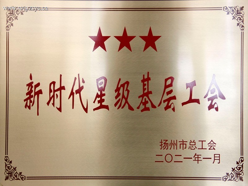 2020 New Era Star-Level Grassroots Trade Unions