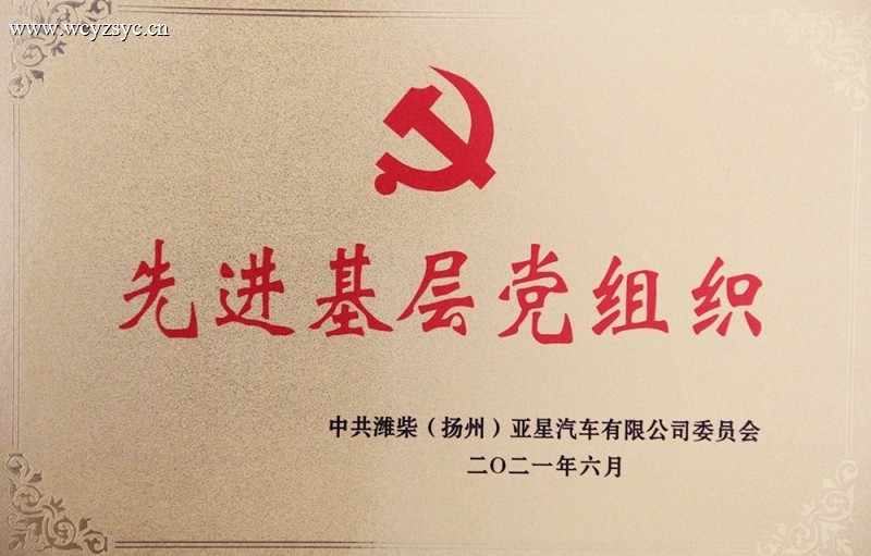 Advanced grassroots party organization